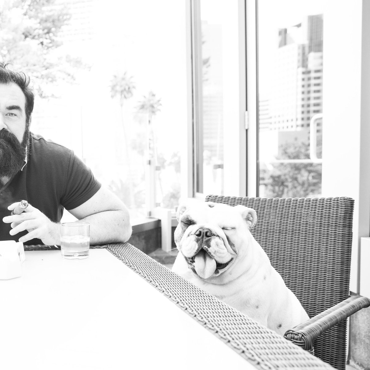 BulldogCollins's tweet photo. Poll: Are you #leftdog (chin high in the sky, ultimate confidence) or #rightdog (can't take a serious photo, master of dad jokes)? https://t.co/RUOLpaFClQ