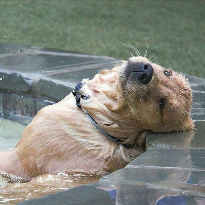 imFindDory's tweet photo. When everyone told ya you were wastin your time and you finally realize you were https://t.co/9U0VsYka05