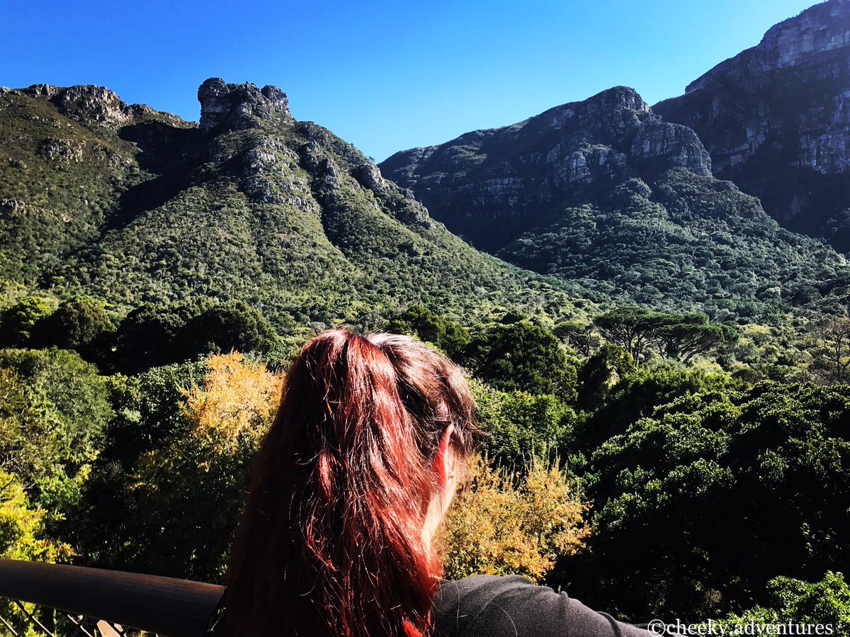 CheekyAdventure's tweet photo. What a view! Although...doesn't it make you think of Jurassic Park? #dinosaurs #jurassicpark #cheekyadventures https://t.co/owCngmRUtS
