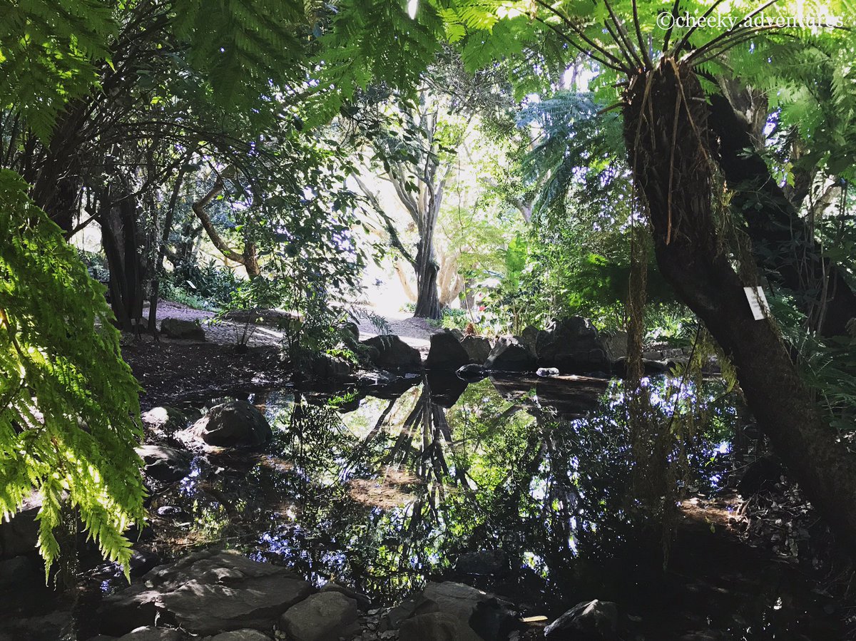 CheekyAdventure's tweet photo. It's kind of like discovering a secret. #cheekyadventures https://t.co/hdr7XCqECl