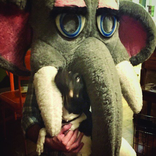 ♫ [REEL BURN]: Seth Kasselman (<a href="/WarmClimate/">Seth</a>) unlocks the fastening around ones who are ‘Left Out’ NOW ON TAPE!!! j.mp/2g4IGMd