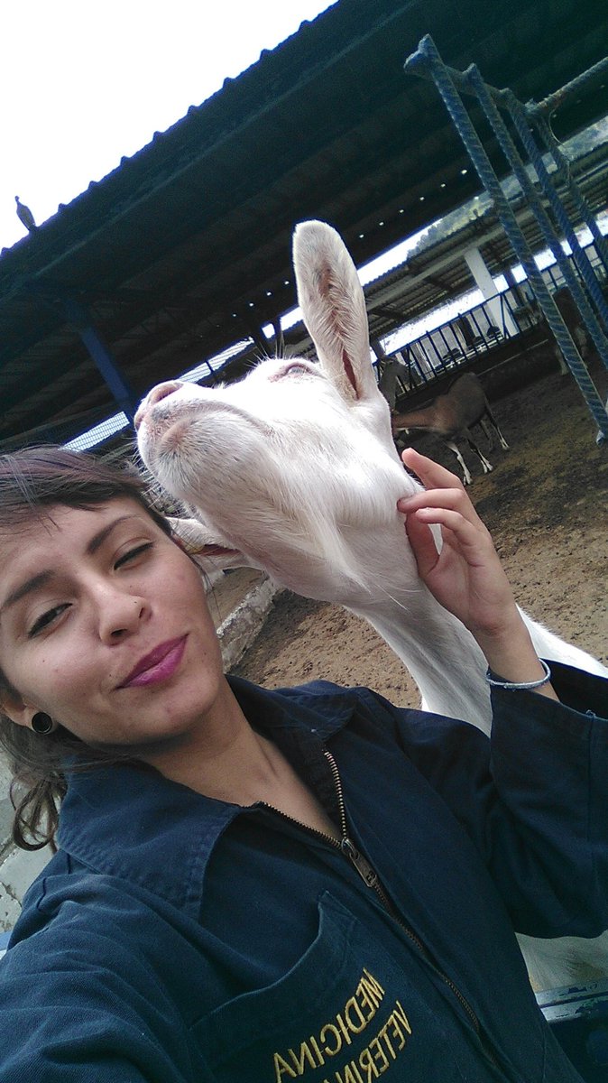 MoonyFromHell's tweet photo. #NetaNoEsNormalQue la cabra y yo tengamos la misma cara. https://t.co/wFYcC1aSQe