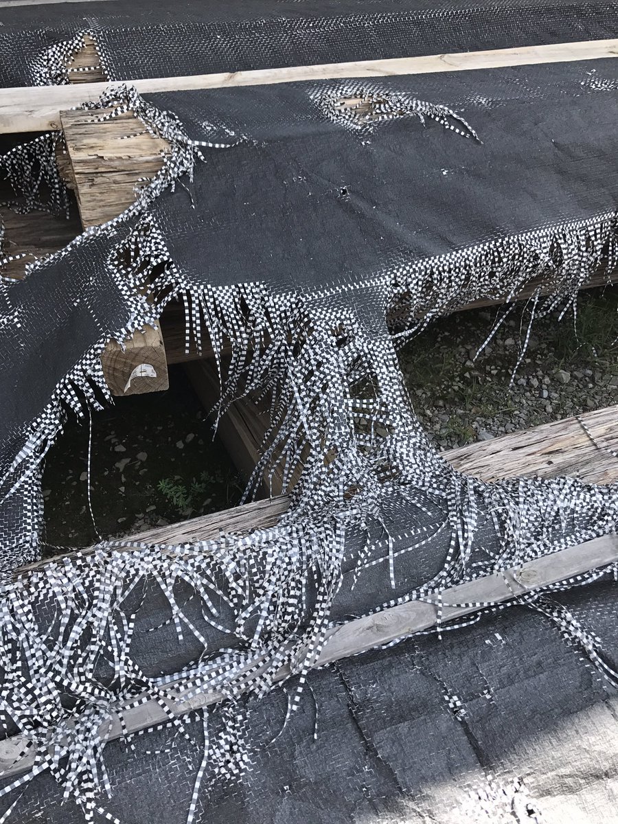 Trust Fall tweet media