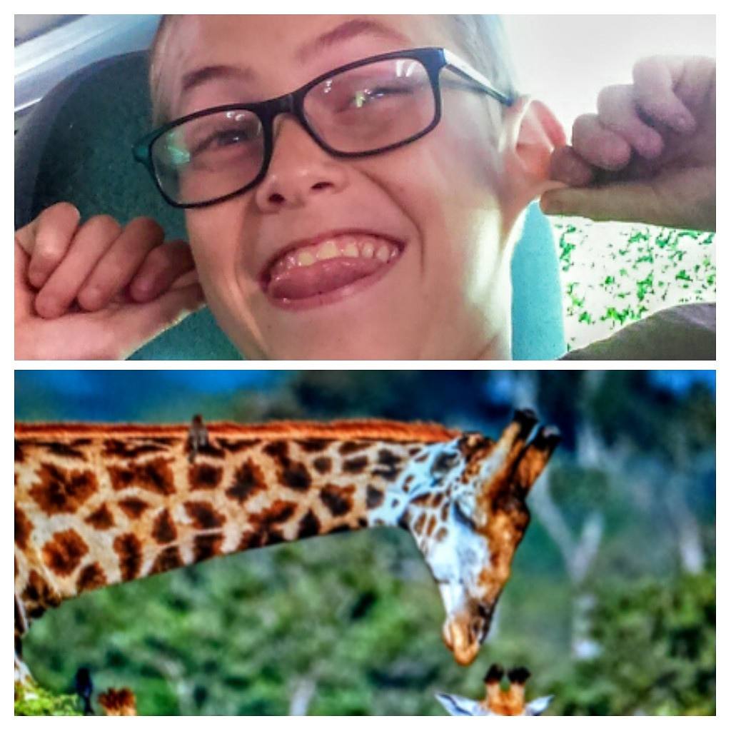 Seeds_4_Success's tweet photo. Mobile phone photography competition at Bridging Project. Here are some of the pics. #s4s #bridgingproject #photography #camera #youthwork https://t.co/MVb8ClZDL4