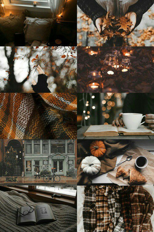 spookymoonkitty's tweet photo. 1 month til Fall starts.🍁🍂🎃 https://t.co/88z82xCsaL