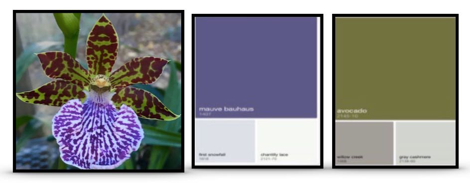 tmrhyne's tweet photo. Using #ColorCapture App to find @Benjamin_Moore paints related to Zygo Orchid #VisualAnalytics #infovis #siggraph #dataviz https://t.co/bMsga8qgCY
