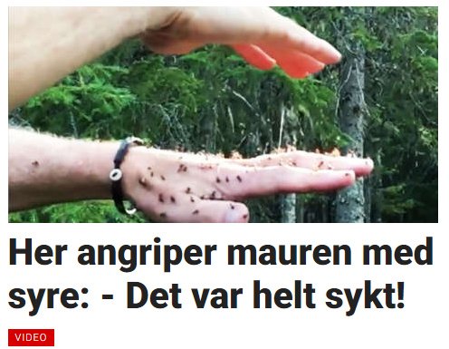 superknutte's tweet photo. Hvem av dem? https://t.co/mPXV7ycGVp