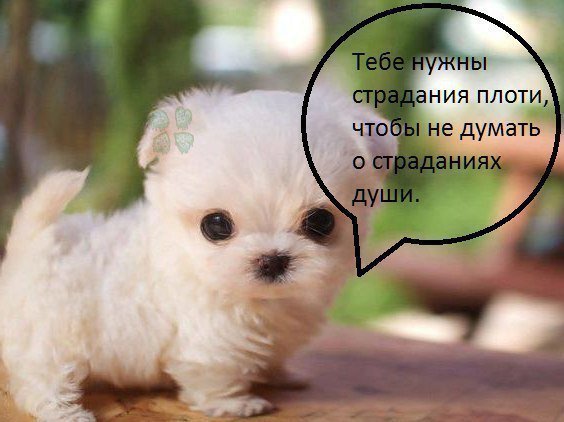 treegoon_'s tweet photo. ) https://t.co/zJyE6jeyeY