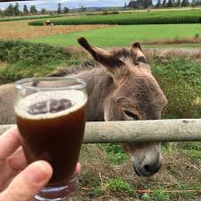 Feeling a little thirsty?  Check out Brewfest <a href="/CarletonFarms/">Carleton Farms</a> on Sept. 30th.  Pre-Buy tickets save.  carletonfarm.com/brewfest/