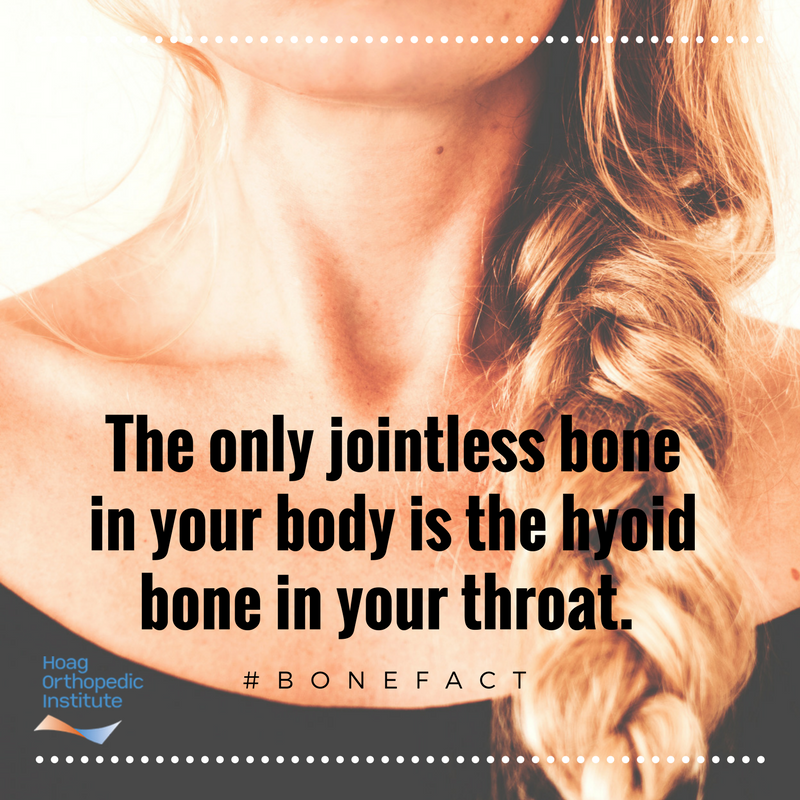 HoagOrthopedic's tweet photo. Did you know? #BoneFact https://t.co/2sMrzBpBnI