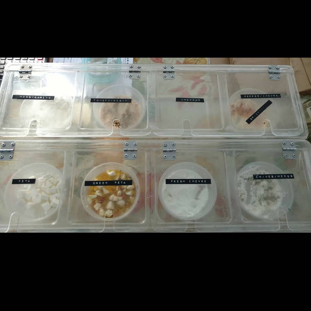 HburgMarket's tweet image. Featured Vendor of the Week: Morris Richardson of G&amp;amp;M Goat Farm.He sells goat cheese, meat, skin care products, and goat milk kefir!