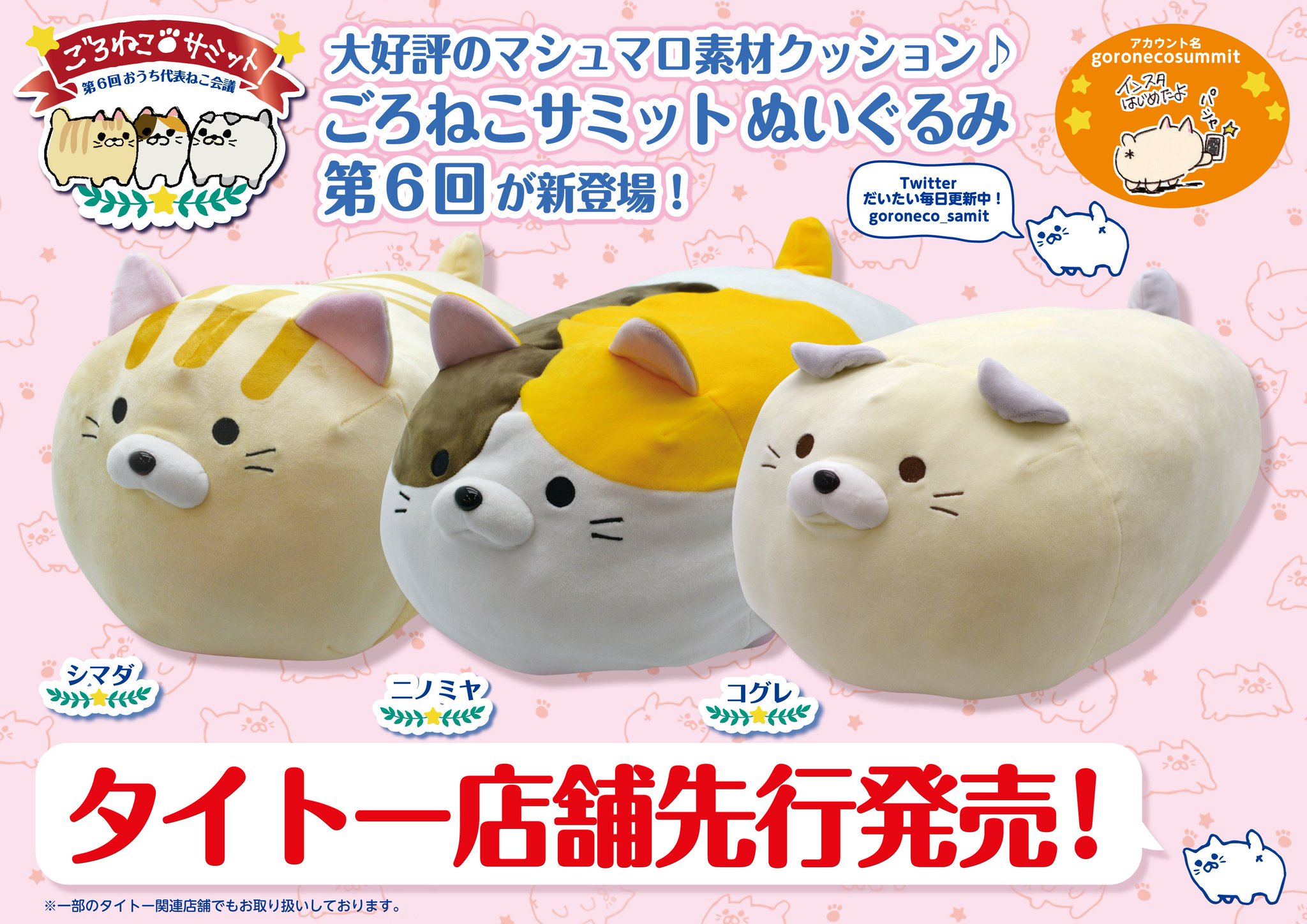 貴重！ごろねこサミット　イトウ　タグ付き ごろねこサミット イトウ【公式】 on X: 