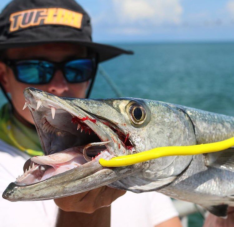 Remember to floss!
@landsharkfishing 
#tufline #whenabigbiteisontheline 

#tugisthedrug #wahoo #mackeral #pike #muskie