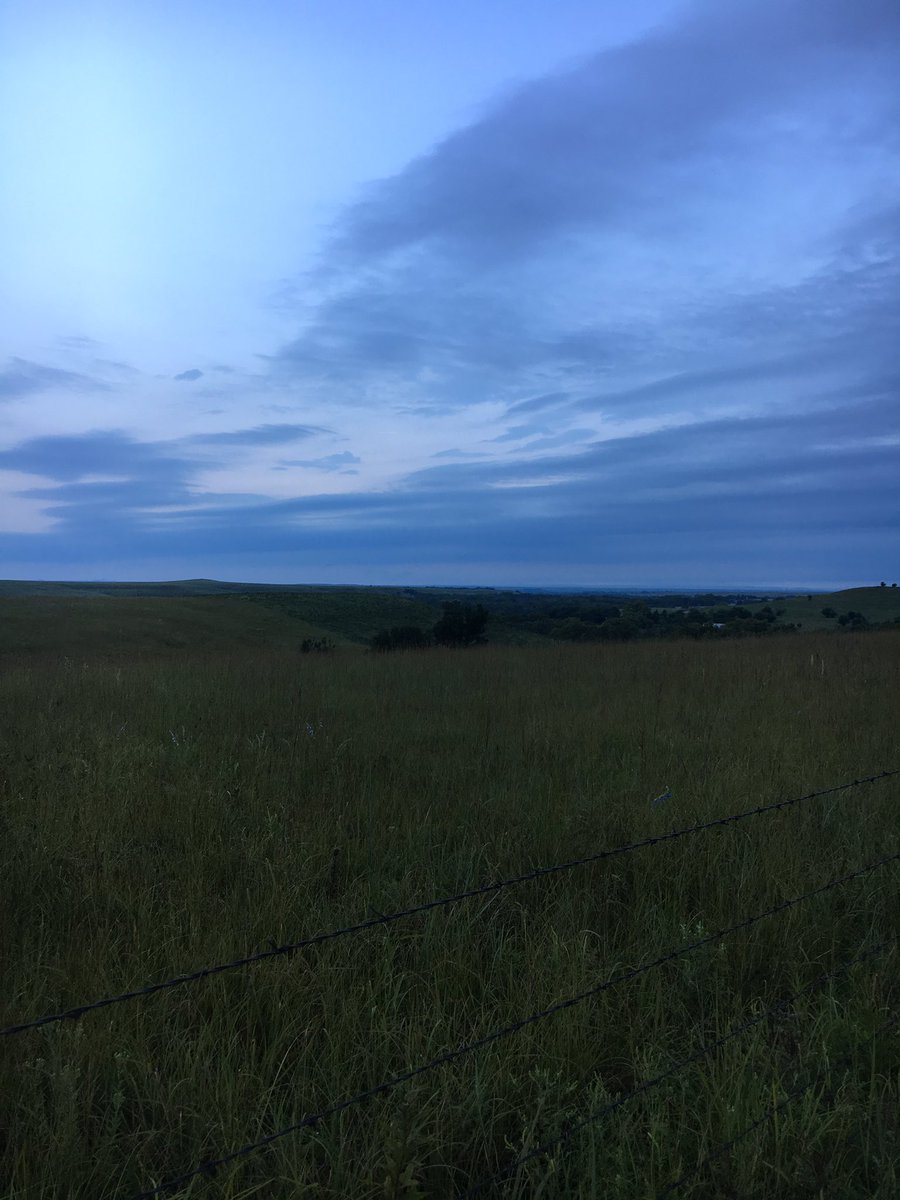 TannerSwift's tweet photo. I spent the morning helping ship cattle in the beautiful Flint Hills this morning. #GodsCountry #FutureSteaks #Moo https://t.co/kwELlOkP6Z