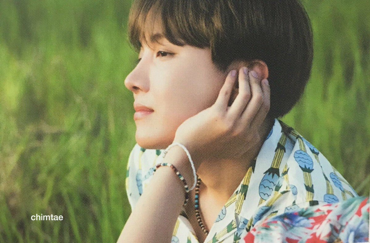 BTS summer package 2017 j-hope