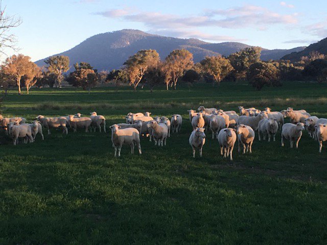 LandcareACT forum on non-urban landuse around Canberra on 26th August popular - the community are keen to discuss!