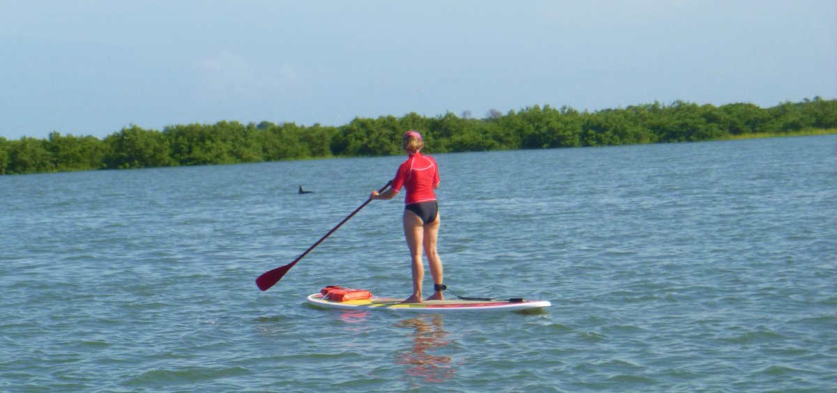 An exquisite dolphin kind of day! 

kayakingstaugustine.com/stand-up-paddl…