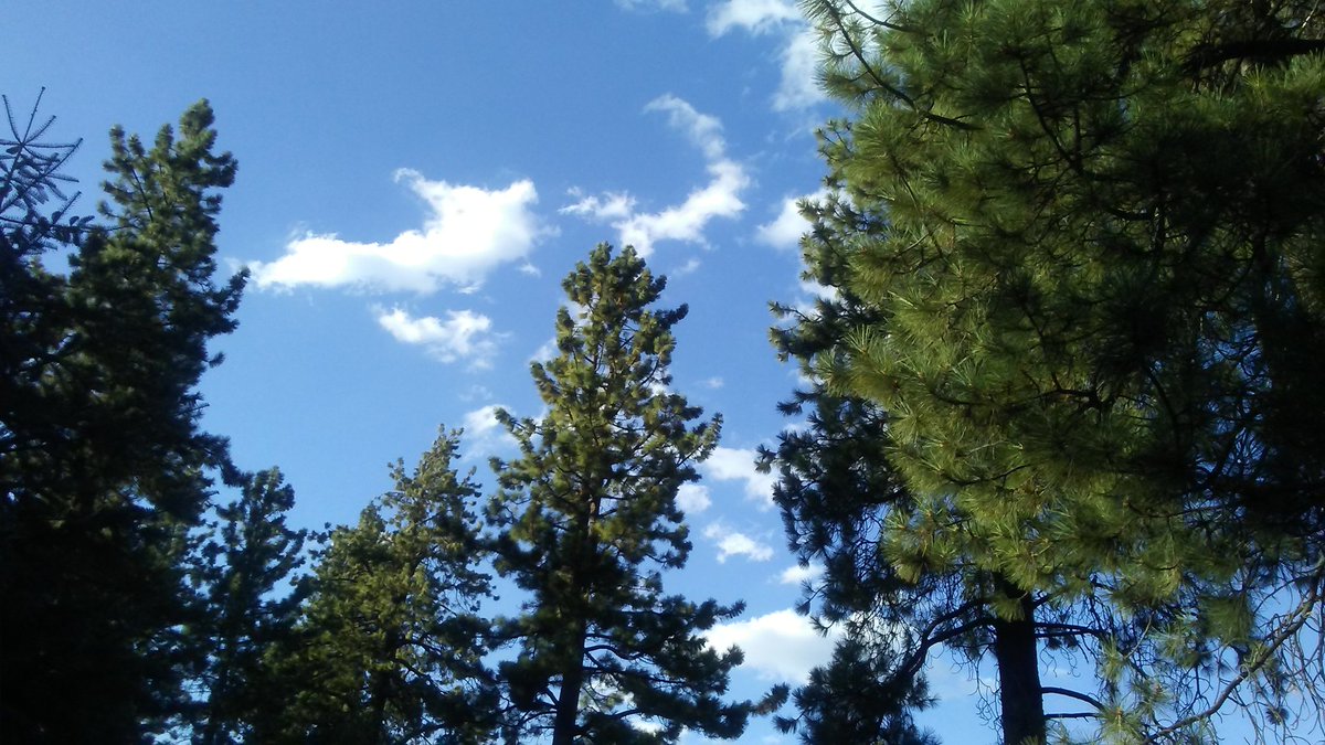cassidy_aurora's tweet photo. My PARADSE on Mother Earth feeling soooo BLESSED https://t.co/I3Y7RLo0eJ