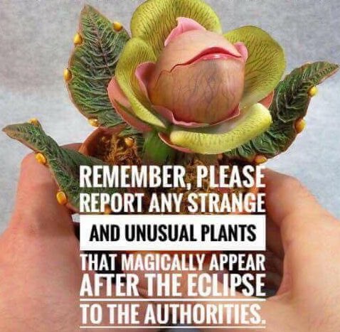 AgBioWorld's tweet image. Thank #Monsanto?  #EclipseSolar2017