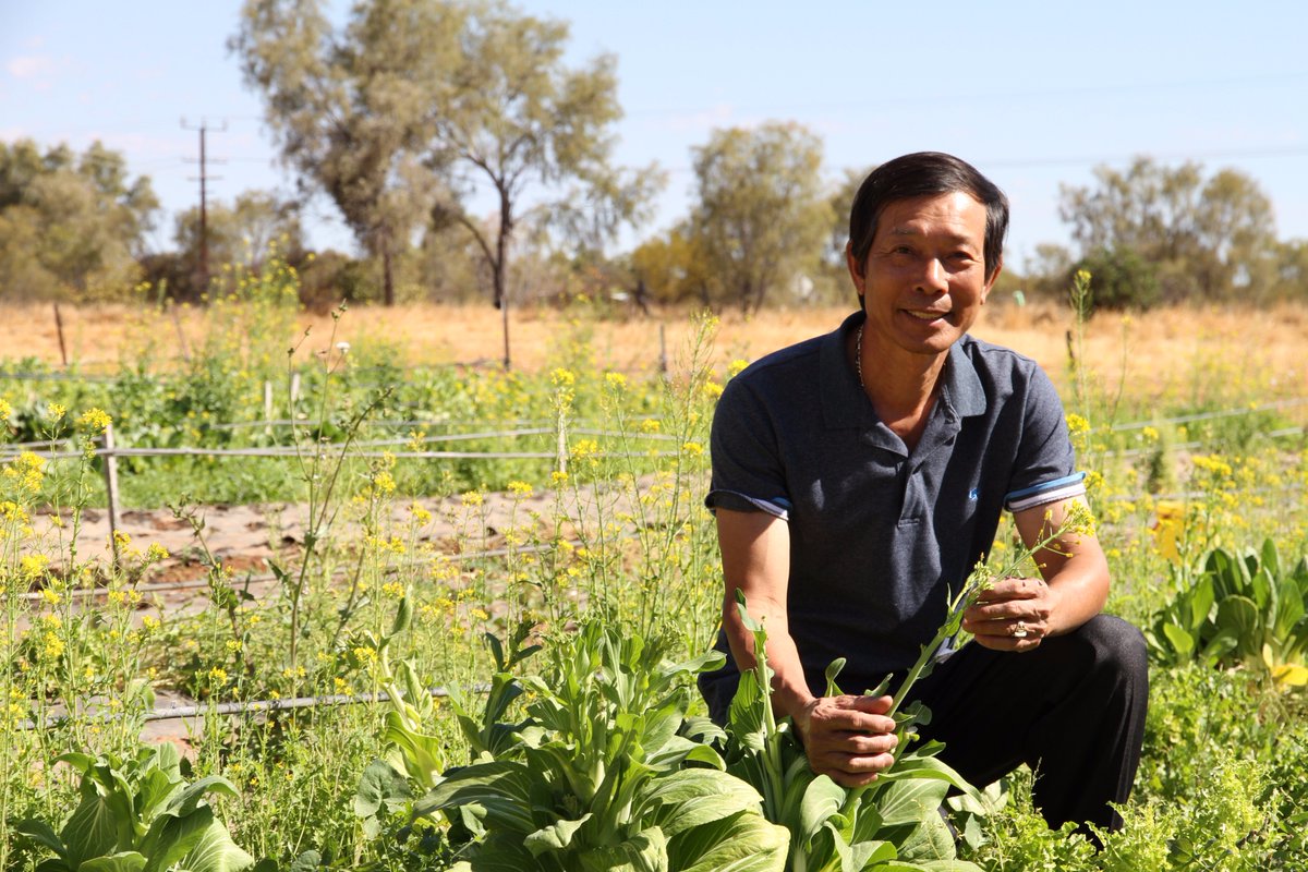 katrina_beavan's tweet photo. Warmer #CentralAus winter good news for grower/restaurateur Tinh Nguyen in #AliceSprings, says it was better than last yr &amp; w minimal frost. https://t.co/egCtkqGDkU