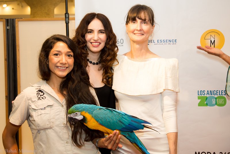 showroomintl's tweet photo. Oscar the Blue Macaw @LAZoo   greets guests at #Moda360 @TheNewMart   on the red carpet with host @VidaGhaffari https://t.co/6GB5uE0jkI