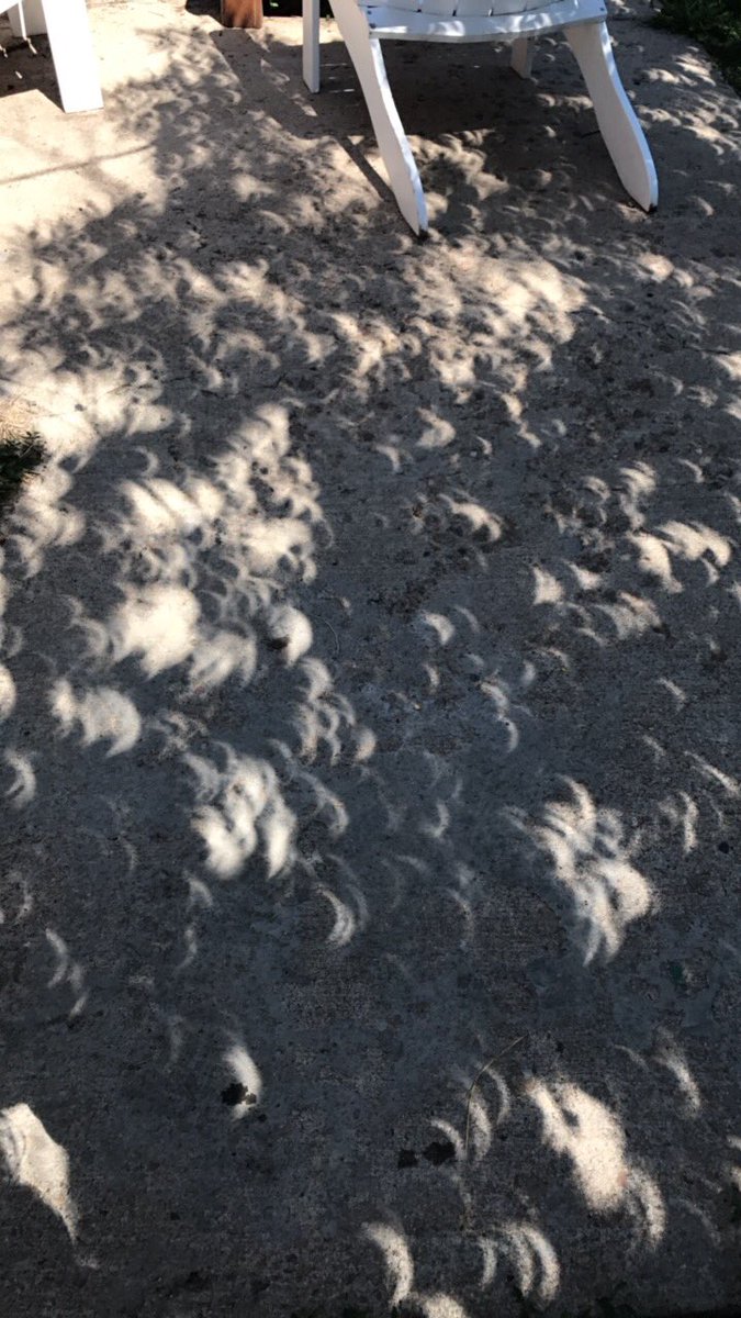 landlocksailor's tweet photo. #Eclipse2017 #eclipseshadows https://t.co/Rx2VFayjKf