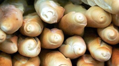 RT culitos de empanadas.
FAV culitos de panes