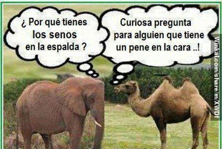 weedwom's tweet photo. :D #funntanimals https://t.co/8fitIVeCxc