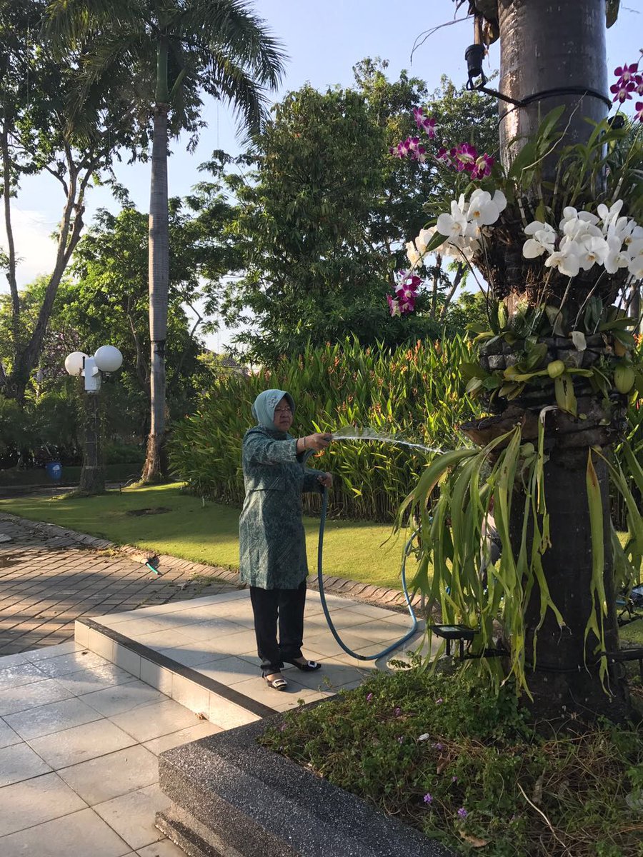 Kamu gak perlu malu dgn pekerjaan yg kamu lakukan, Wali Kota Sby dlm kesibukan sempatkan waktu untuk menyiram tanaman di Balai Kota Sby loh