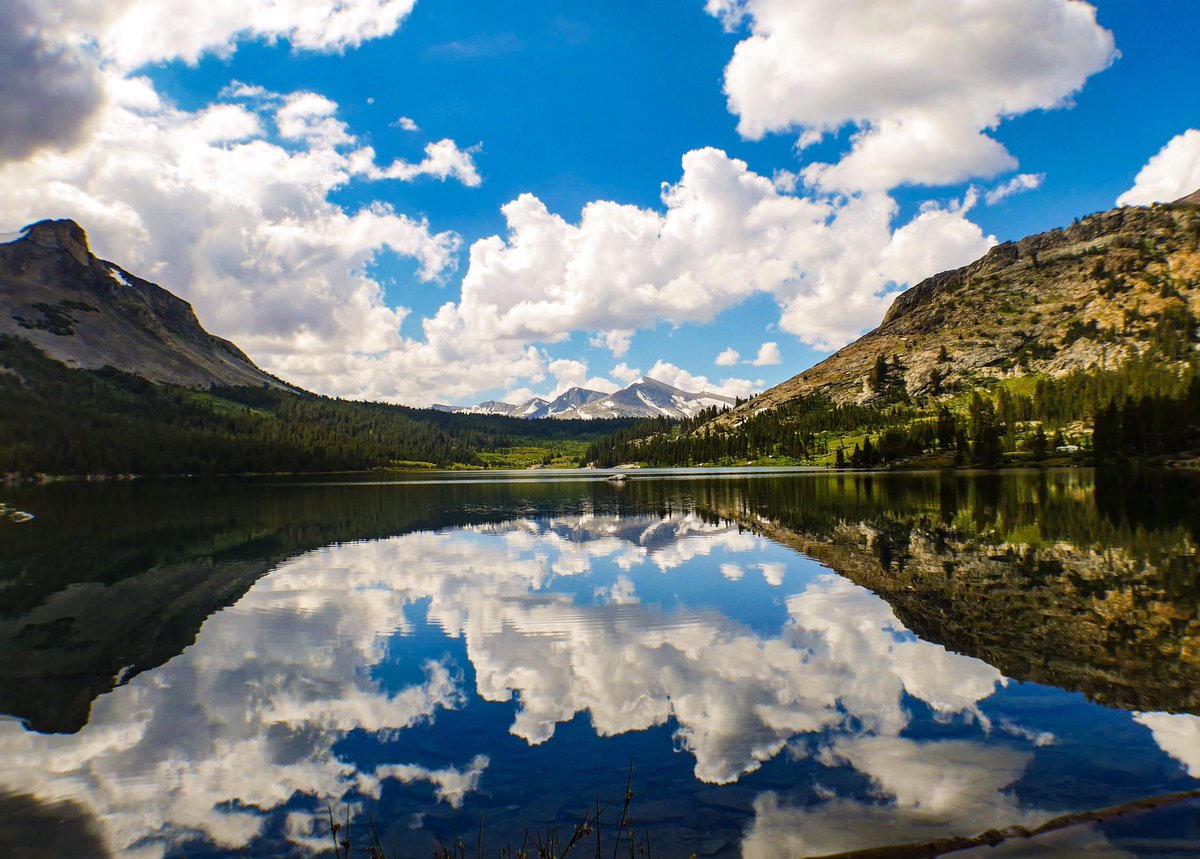 ExplorerPhotos's tweet image. I was seriously considering never leaving this place. Yosemite National Park