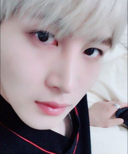 KpopAsFlower's tweet photo. Josh • elvin crew https://t.co/CTjIKbQgfR