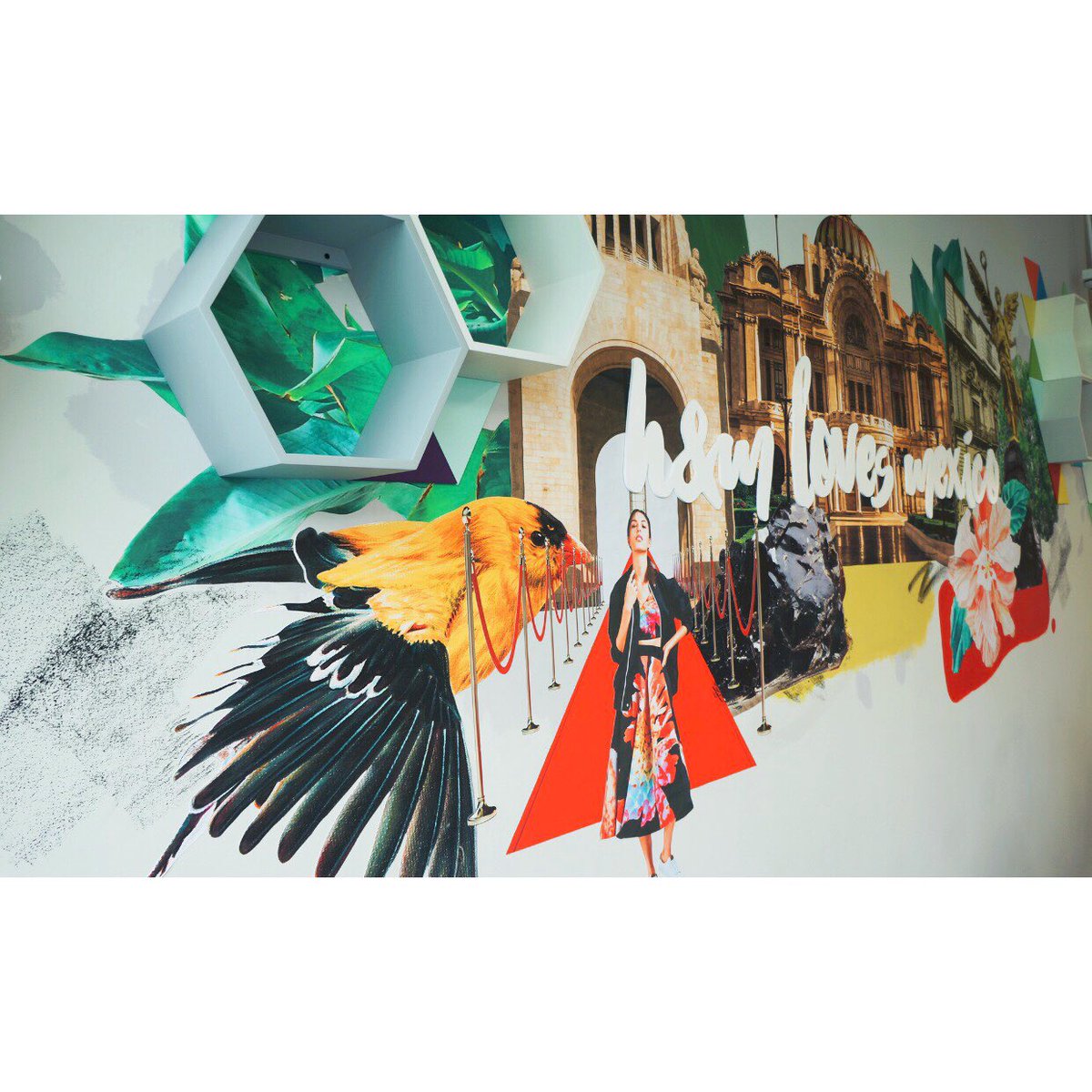 amoATO Studio tweet media