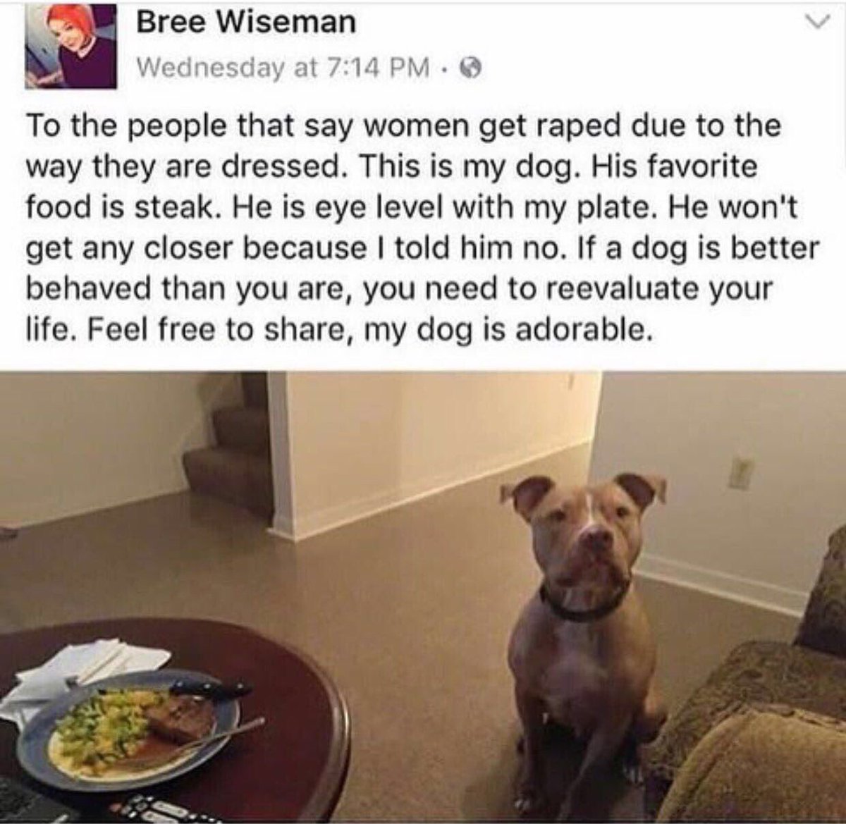 _kiranalara's tweet photo. Anjing aja bisa. Masa kamu engga? https://t.co/Q2vhjEctSv
