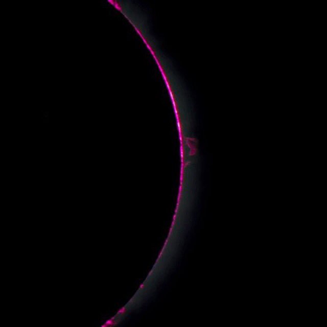 Ok, finally home and feel like moving so here's a few of my eclipse pics.  Thank you to the town of Hopkinsville, KY for the hospitality. 🌑