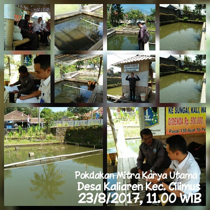 cattelya3's tweet photo. Ppb kab.kuningan,anjang sono,sosialisasi CBIB pokd.mitra karya utama ds.kaliaren cilimus @fisheris_ @BudidayaKKP @dpp_ipkani @puslatluhkp https://t.co/z328Nd02Nk