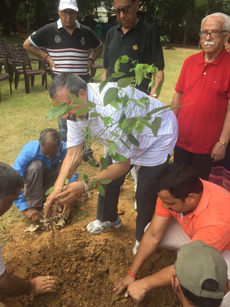 anil6258's tweet photo. Tree planting at B 9, Vasant Kunj Main Park https://t.co/cAYcGpVcL6