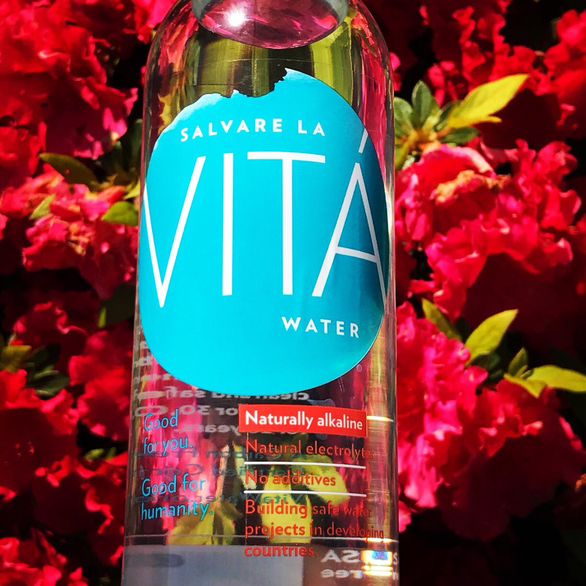 vitawater31's tweet photo. #summer #hydrationelevated #safeway#Wholefoodmarket https://t.co/K1UauweUyK