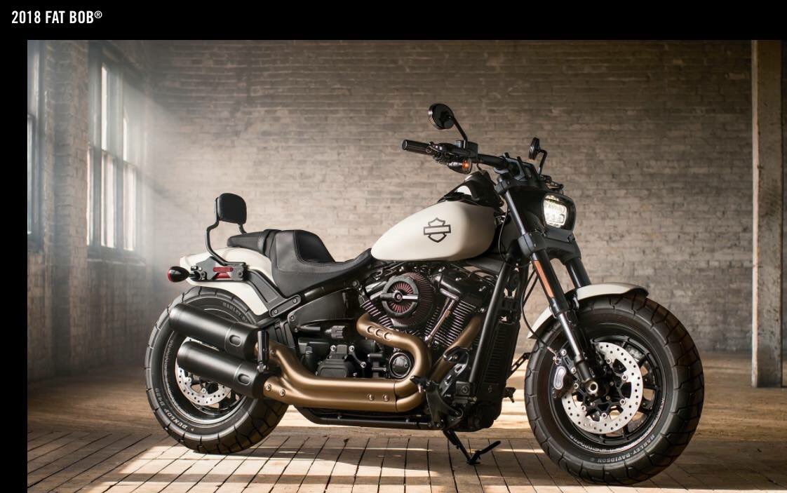 illinoisHD3370's tweet photo. New 2018 #HarleyDavidson  models #Softail #fatbob #cvoroadglide https://t.co/OUqSdwmqgm
