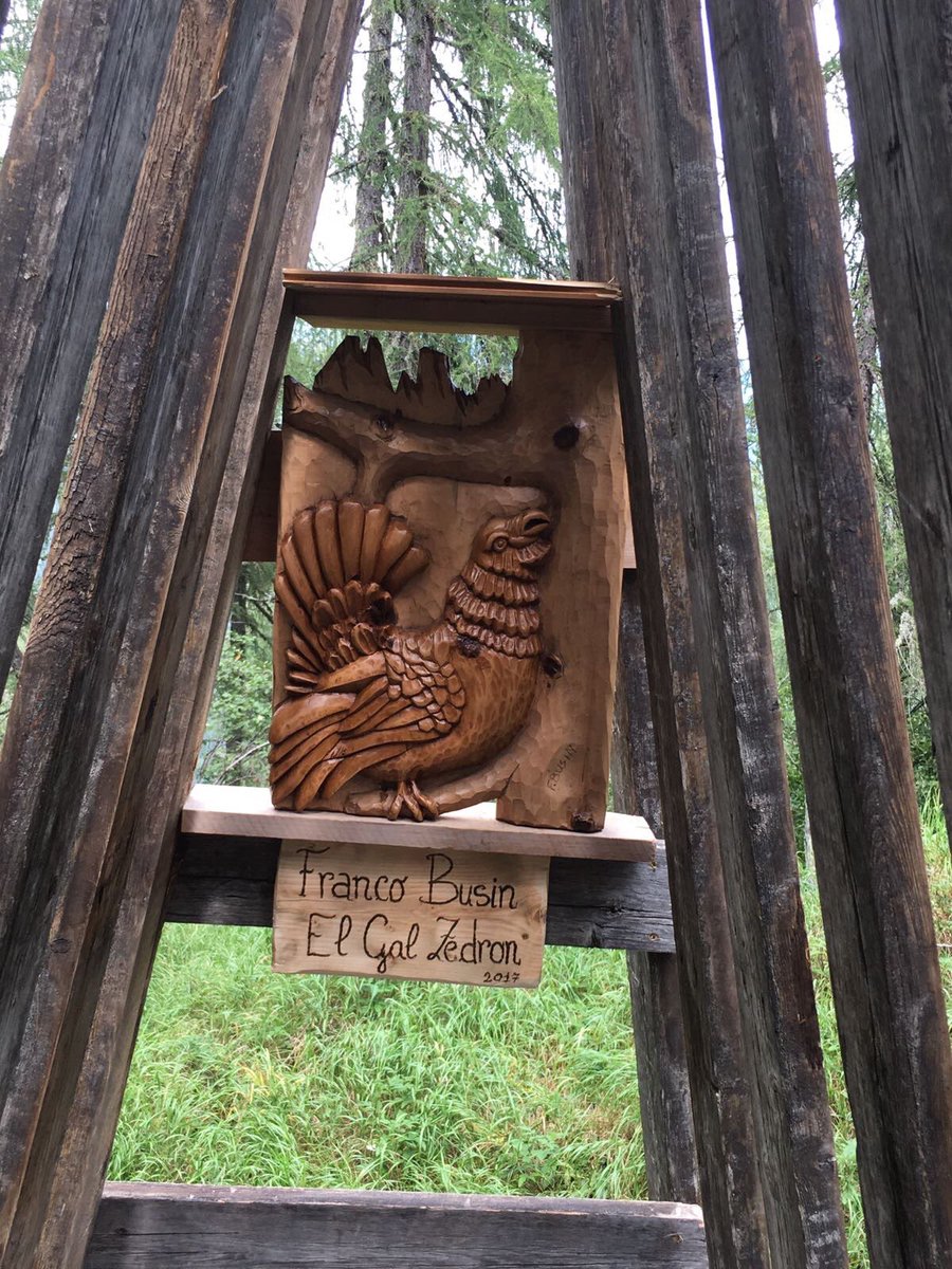 SkiAreaSanPe's tweet photo. Nuove opere sono state posizionate nel Bosco degli Artisti di #Falcade: con una passeggiata a #LeBuse potete vederle tutte! #arte #dolomiti https://t.co/OKIVDEuN95