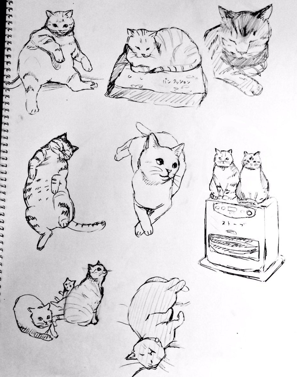 おまけですが、企画ツイートへのリプでネコ様のお写真送って下さった方々もいて、どれも素敵だったので、ポーズの練習に模写してみました。ご自分のネコ様だと心当たりがあれば探してみて下さい（笑）
#俺の猫を描いてくれ 