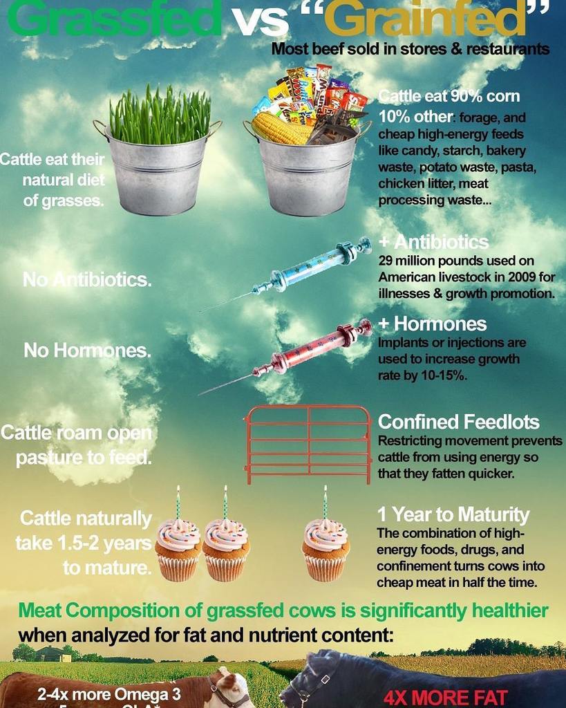 That's why we only use #grassfed &amp; #forage fed #meat. #youchoose #healthy #proteine #eatfoodnotmarketing #youcantp… ift.tt/2wm46L8