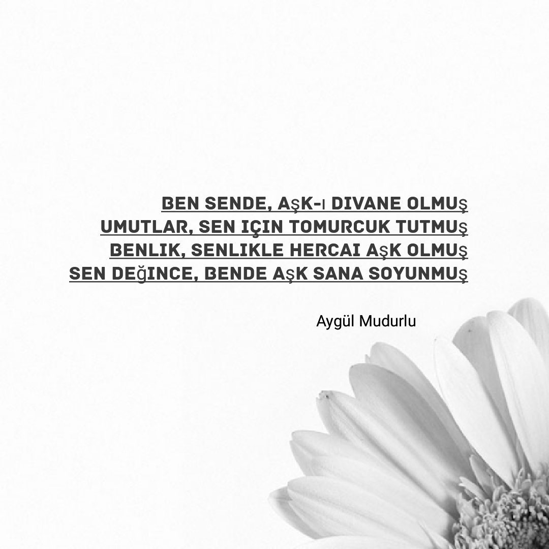 Aşk-ı Hayal (@aygulmudurlufan) on Twitter photo 