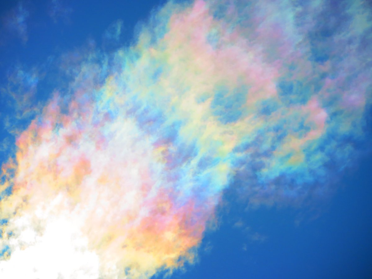 荒木健太郎 on X