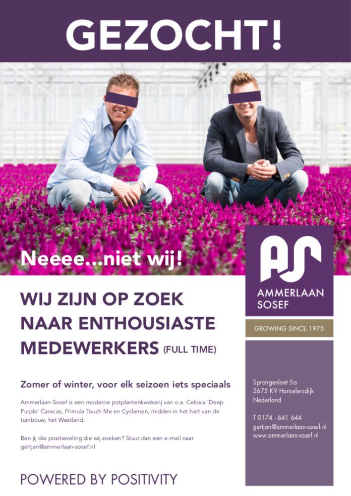 Jef Ammerlaan-Sosef (@ammerlaansosef) on Twitter photo 