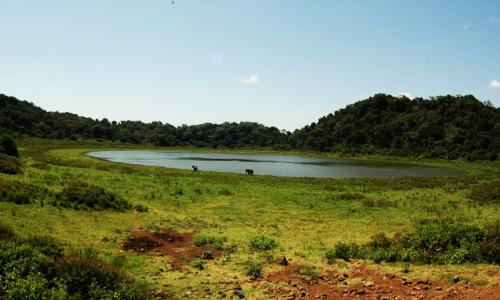 KWSKenya tweet picture