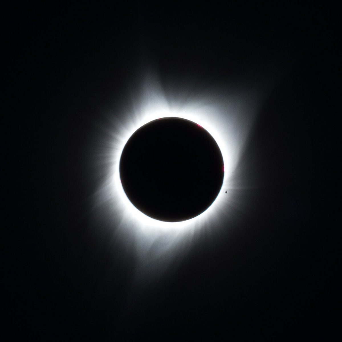 steveireno's tweet image. It was fun taking these #EclipseSolar2017