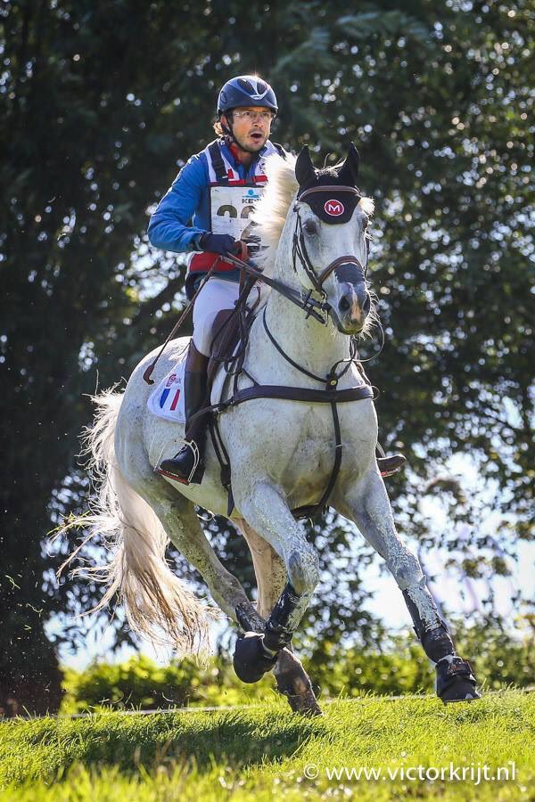 RegisPrudhon's tweet photo. Debiut quitte le sport de haut niveau ! @FFEquitation @FEI_Global  Merci mon fidèle ami... https://t.co/qFkTlbCh9T