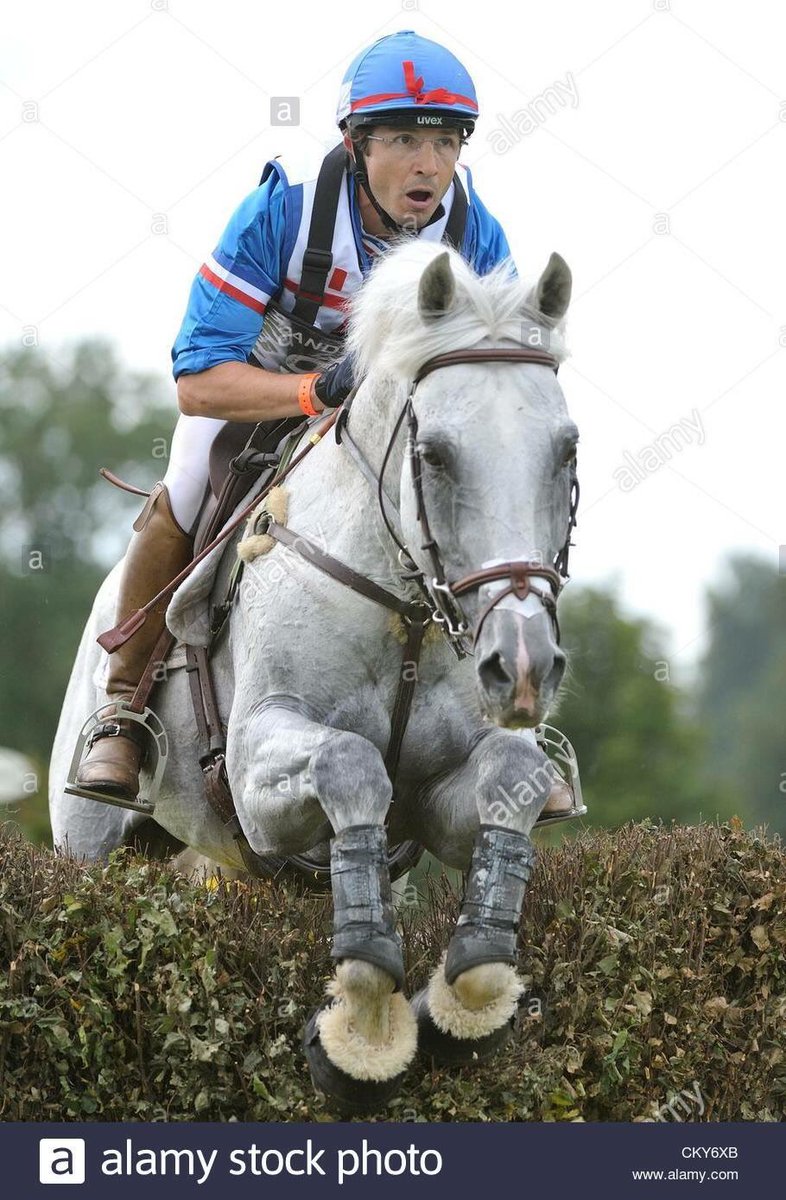 RegisPrudhon's tweet photo. Debiut quitte le sport de haut niveau ! @FFEquitation @FEI_Global  Merci mon fidèle ami... https://t.co/qFkTlbCh9T