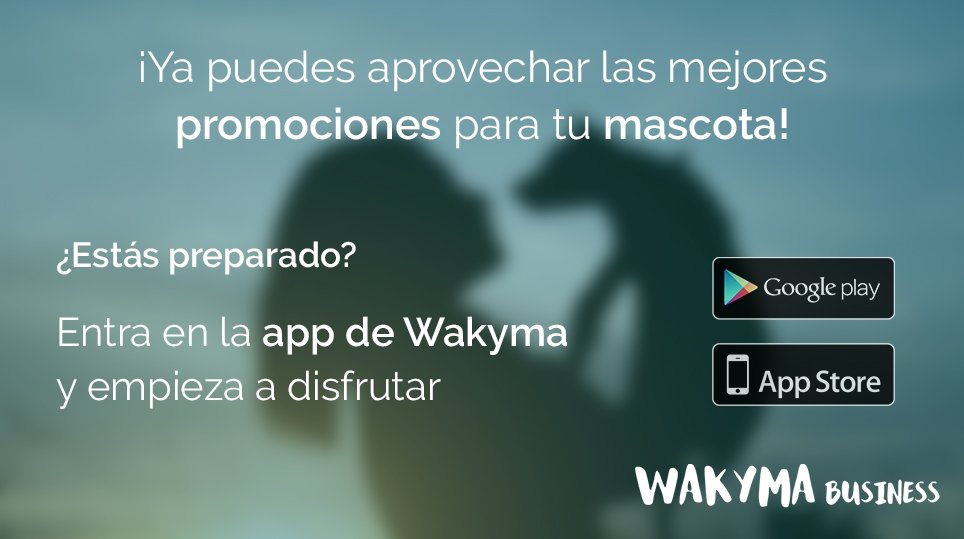 ¡La app de Wakyma ya cuenta con ofertas para tu mascota! 🐶

¿Eres profesional? Anúnciate y crea tus campañas gratis 👉wakyma.com/business/