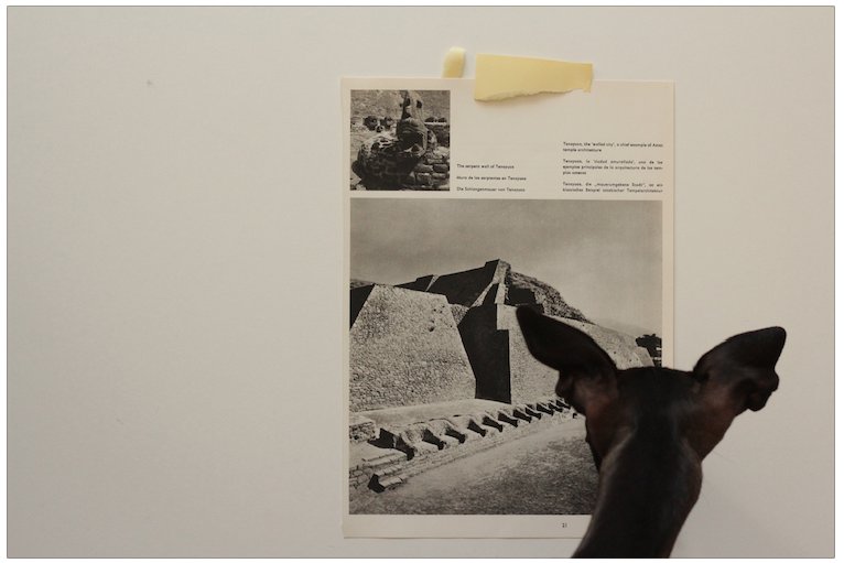 random_pattern's tweet image. 